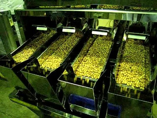 6500 lineare Wäger-Hauptmaschine des Gramm-4 für Schokolade