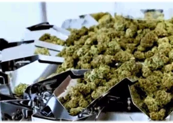 Das 50 Gramm-Marihuana knospt Waage-Mikrowäger Multihead