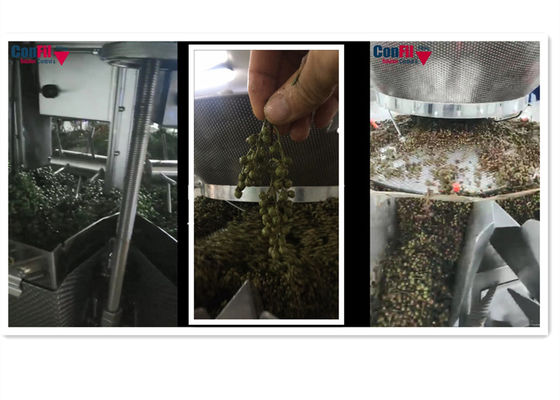 Waage Multihead Multihead-Wäger für grüne stachelige Aschewasserdichte Gemüsefüllmaschine