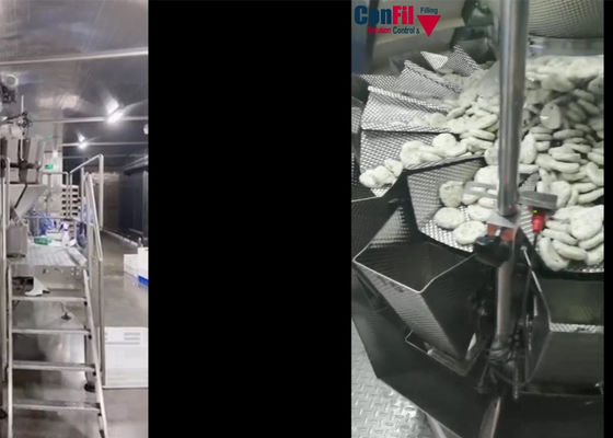 Drehvakuum 2000 Gramm-multi Hauptverpackungsmaschine für Fisch-Ball