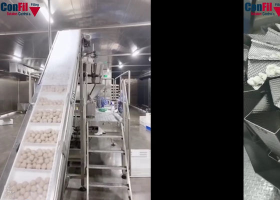2000 Verpackmaschine der Gramm-Fleischklöschen-Tiefkühlkost mit Multihead-Wäger