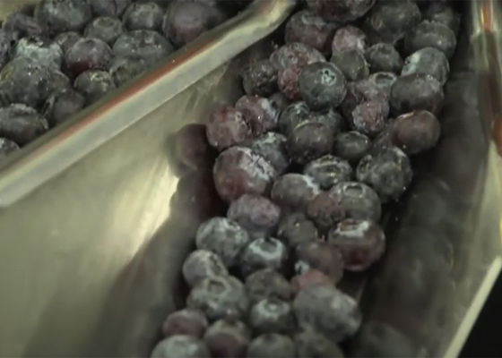 Multihead-Frucht-Waage für Blaubeerzerbrechliche Nahrungsmittelfüllmaschine