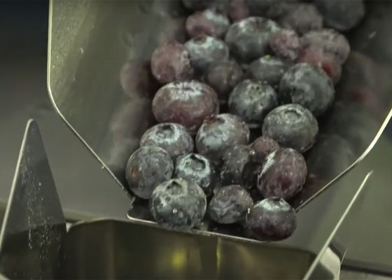 Multihead-Frucht-Waage für Blaubeerzerbrechliche Nahrungsmittelfüllmaschine