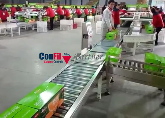 50 Stücke/Minute 30 Kilogramm überprüfen Wäger-Maschine auf Kasten-Kästen